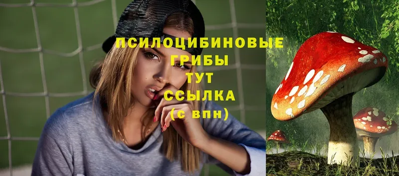 Галлюциногенные грибы Magic Shrooms  Энгельс 